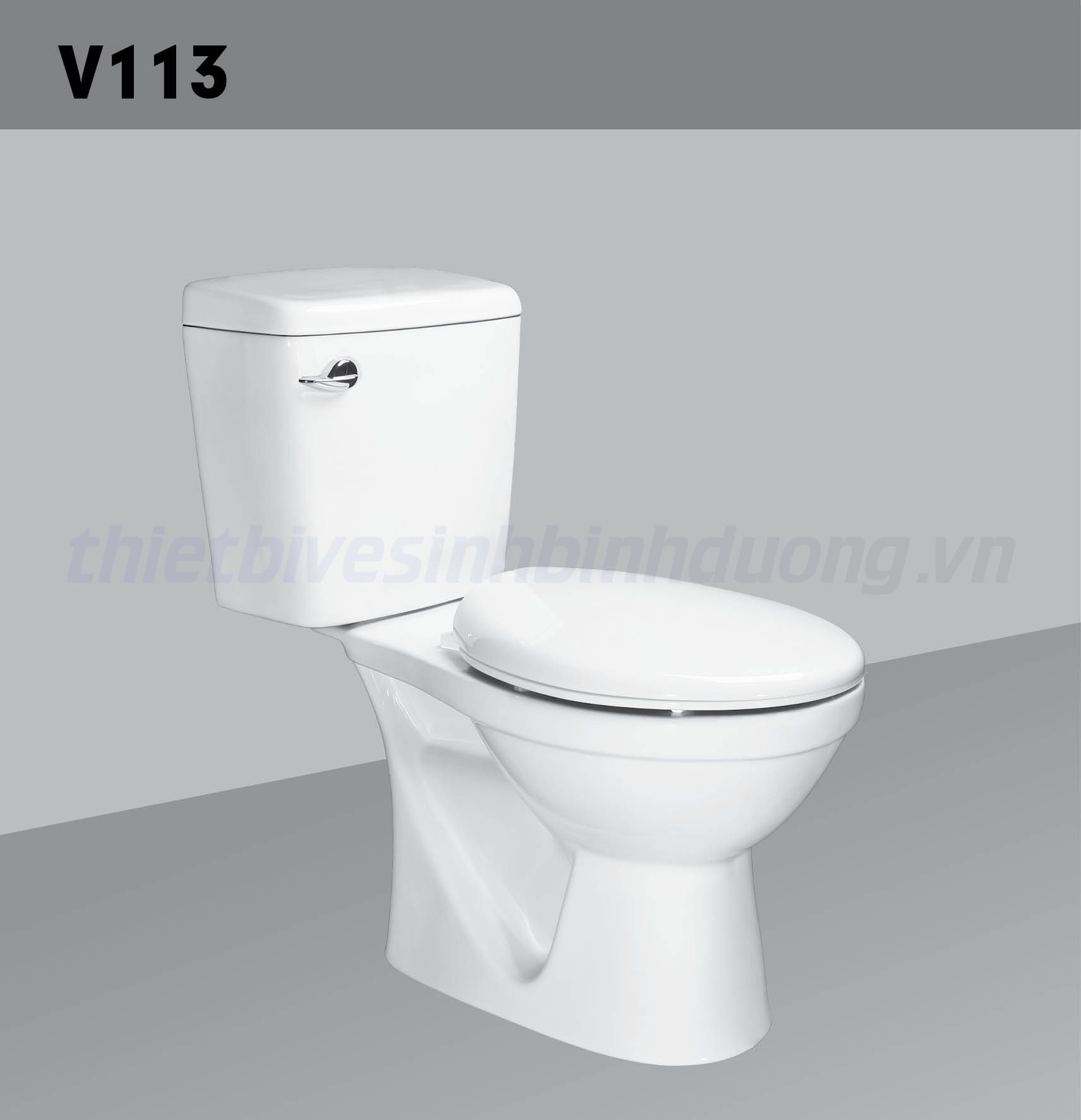 Bồn cầu sứ Hảo Cảnh HC V113